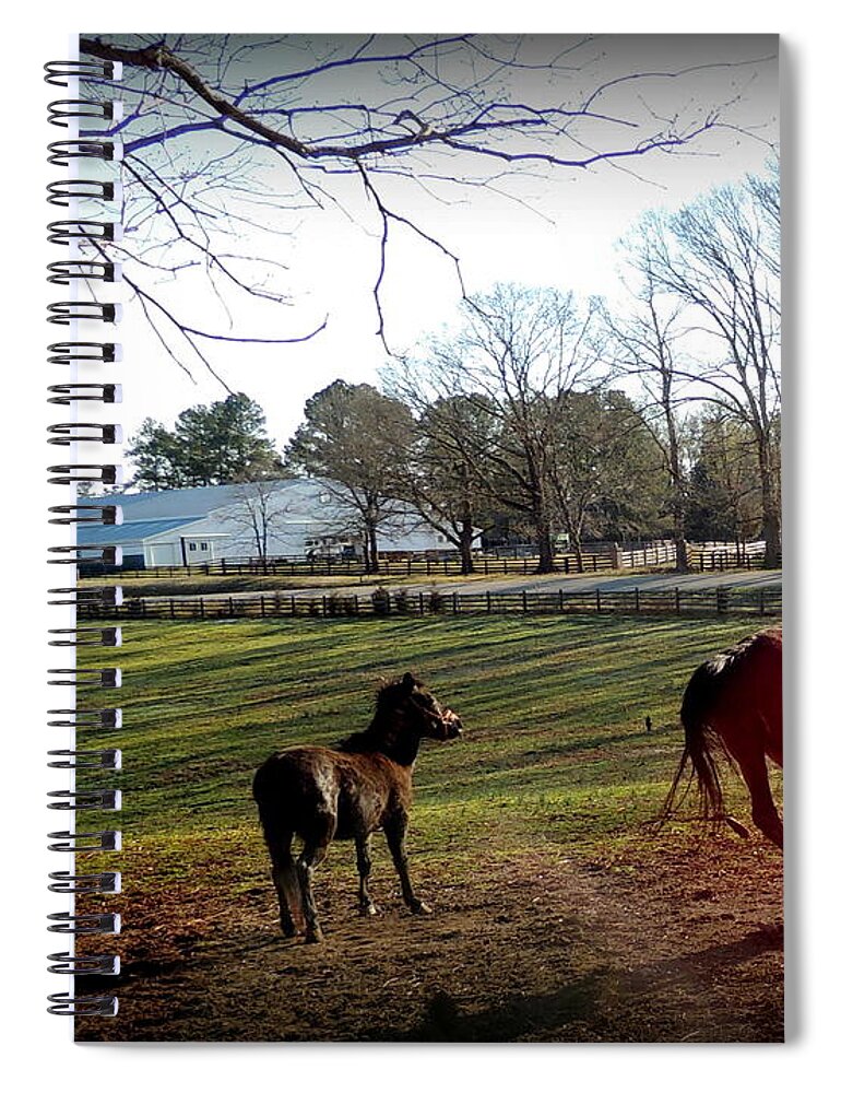 Horse Spiral Notebook featuring the photograph 45 and Going Strong by Rabiah Seminole