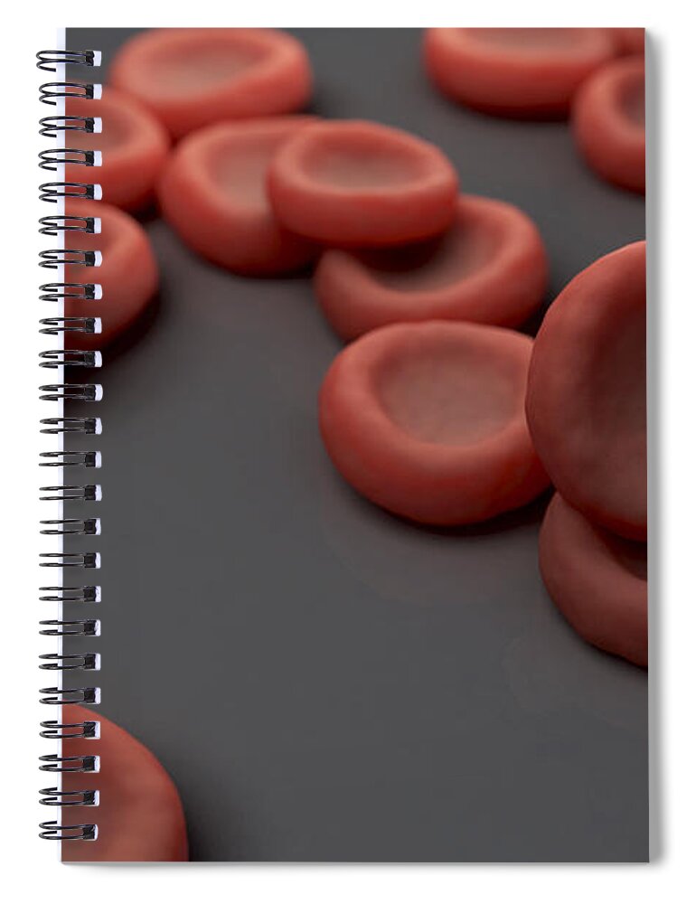 Blood Vessels Spiral Notebook featuring the photograph Red Blood Cells #46 by Science Picture Co