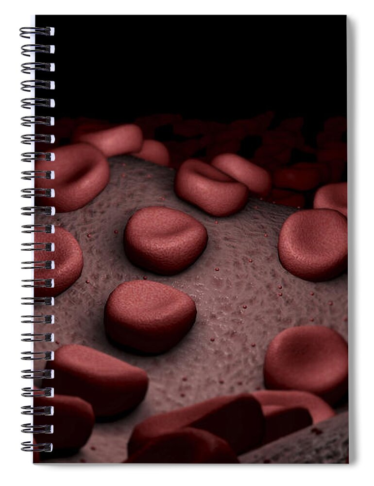 Blood Vessels Spiral Notebook featuring the photograph Red Blood Cells #49 by Science Picture Co