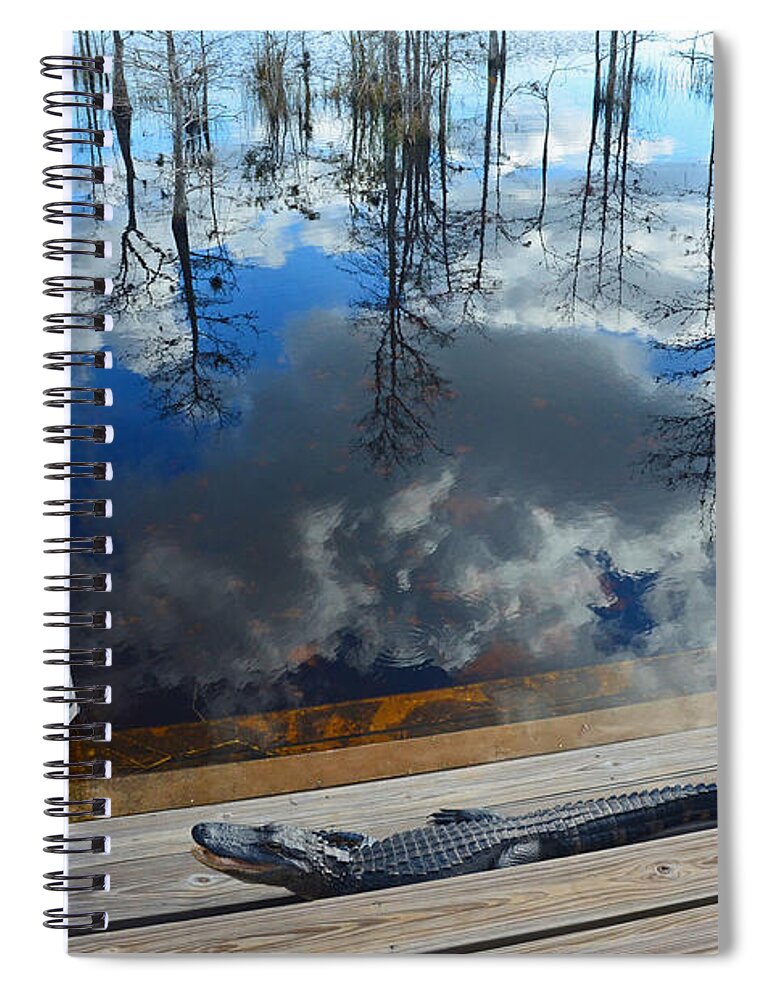 Alligator Spiral Notebook featuring the photograph 5- Alligator by Joseph Keane