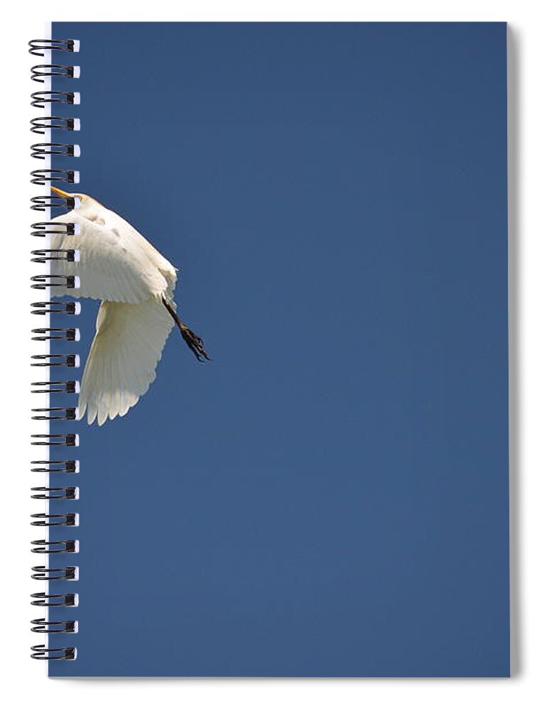 Wildlife Spiral Notebook featuring the photograph 5- Cattle Egret by Joseph Keane