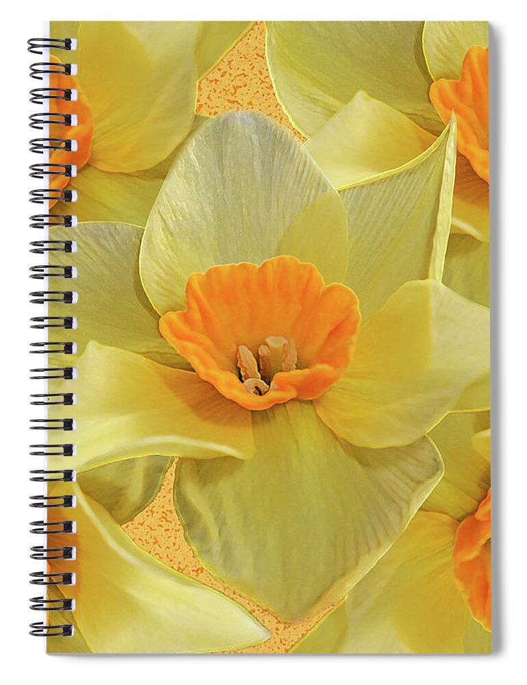 Andee Design Daffodils Spiral Notebook featuring the photograph 5 Daffy's On Parade by Andee Design