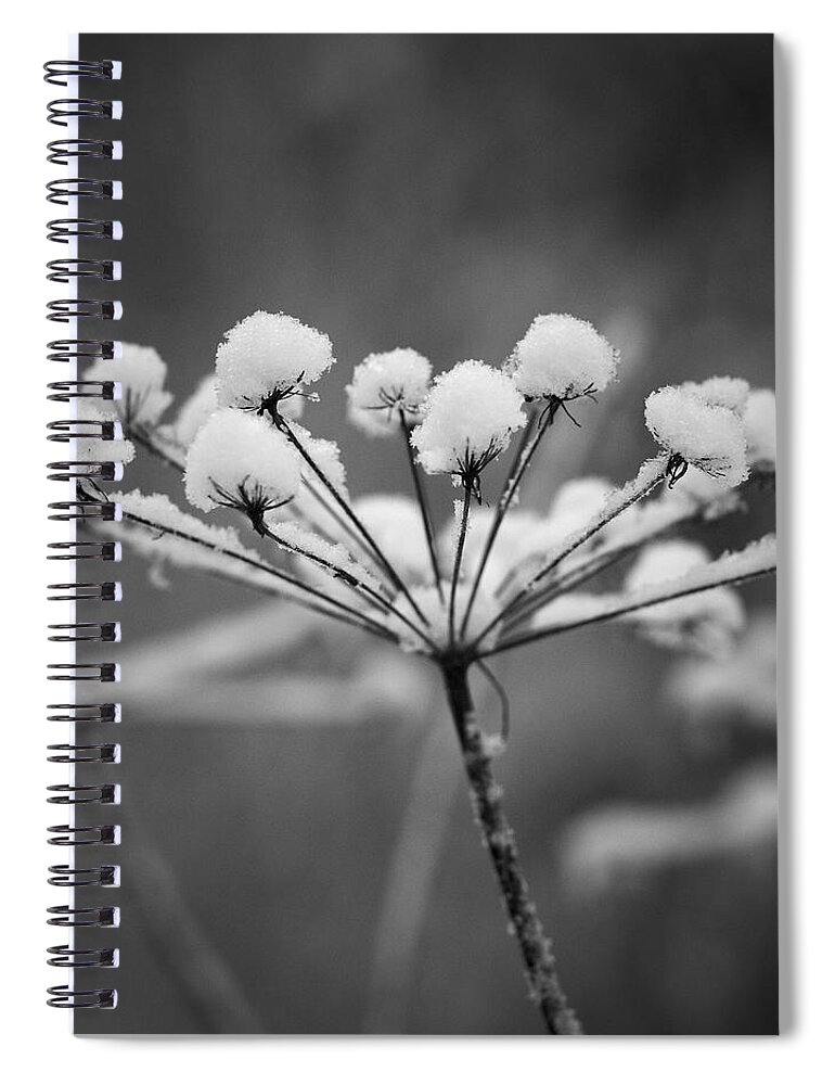 Nokia Spiral Notebook featuring the photograph Winter flowers #6 by Jouko Lehto