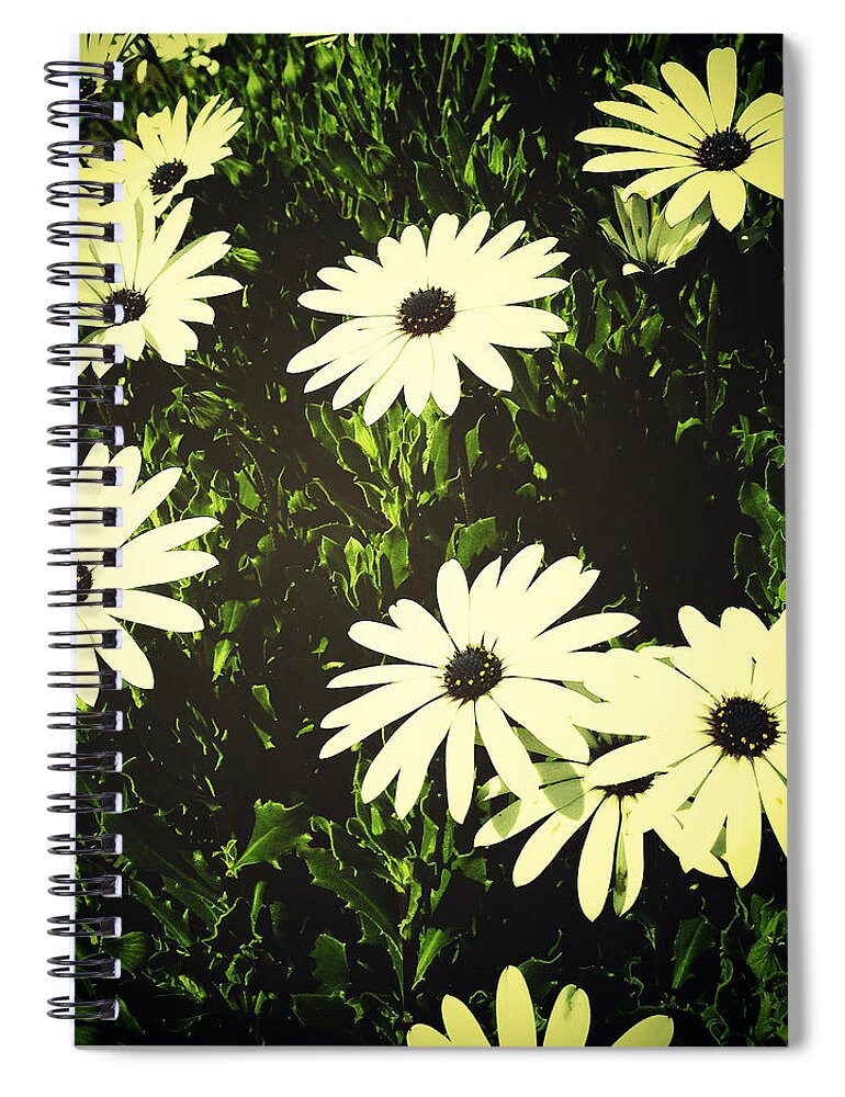 Bloom Spiral Notebook featuring the photograph Daisies #7 by Les Cunliffe