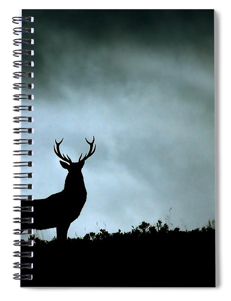 Stag Silhouette Spiral Notebook featuring the photograph Stag silhouette #7 by Gavin Macrae