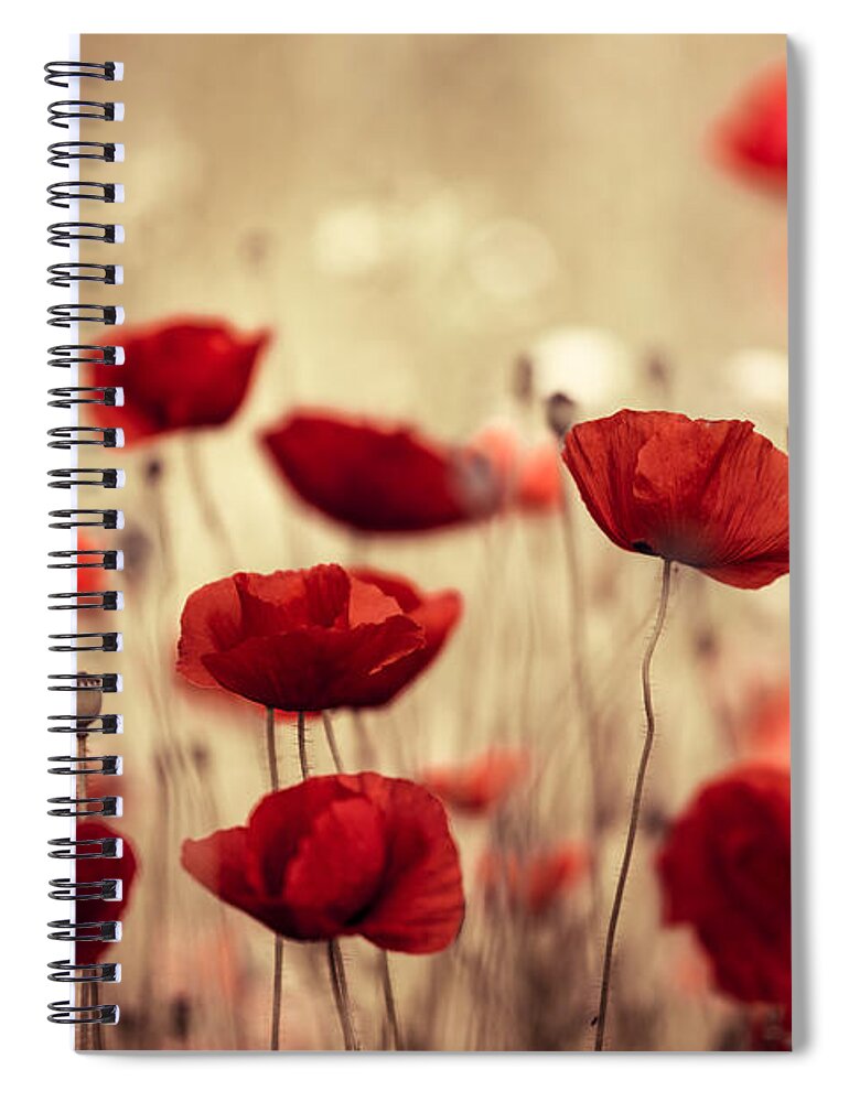 Poppy Spiral Notebook featuring the photograph Summer Poppy by Nailia Schwarz