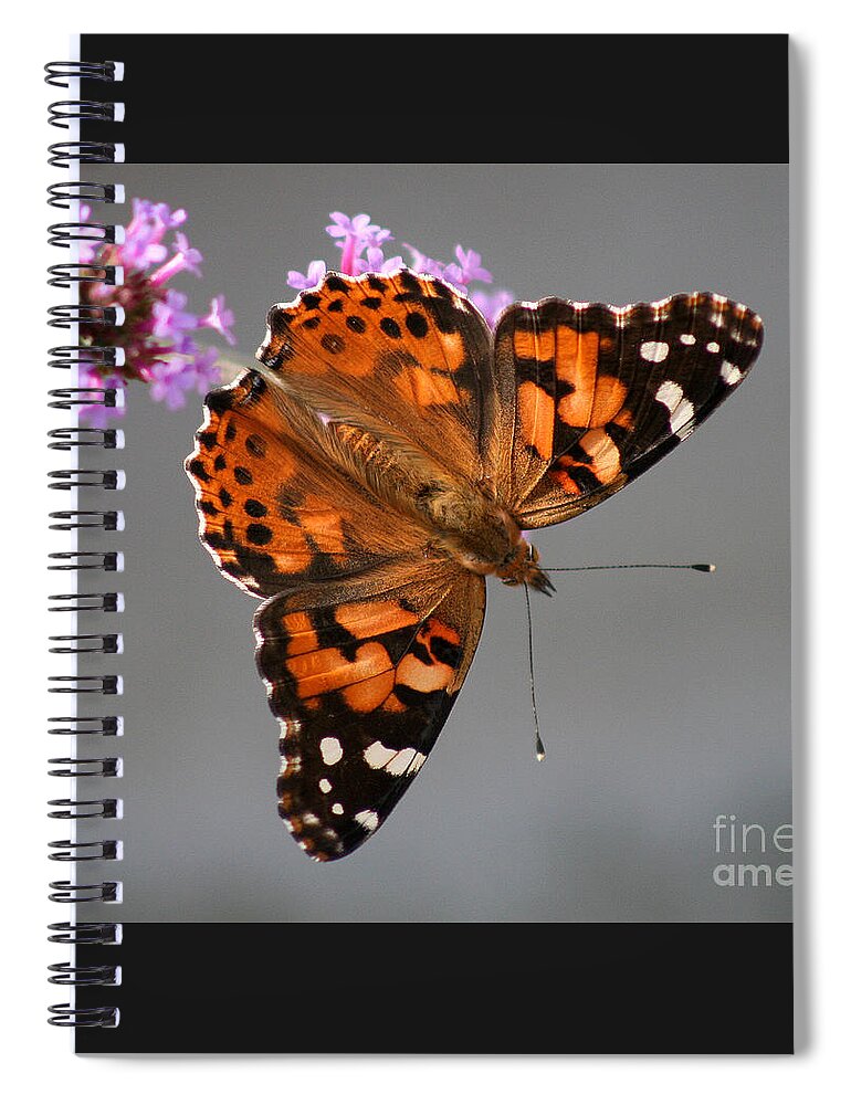 Painted Lady Butterfly Spiral Notebook featuring the photograph American Painted Lady Butterfly #1 by Karen Adams