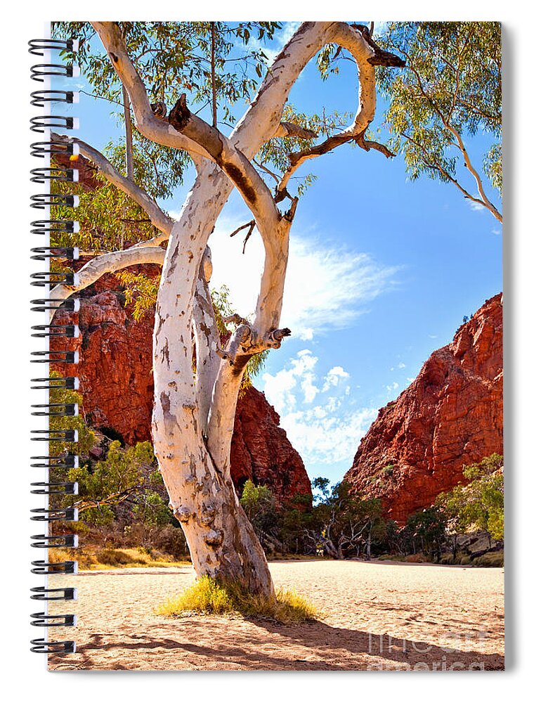 Simpsons Gap Central Australia Landscape Outback Water Hole West Mcdonnell Ranges Northern Territory Australian Landscapes Ghost Gum Trees Spiral Notebook featuring the photograph Simpsons Gap #7 by Bill Robinson