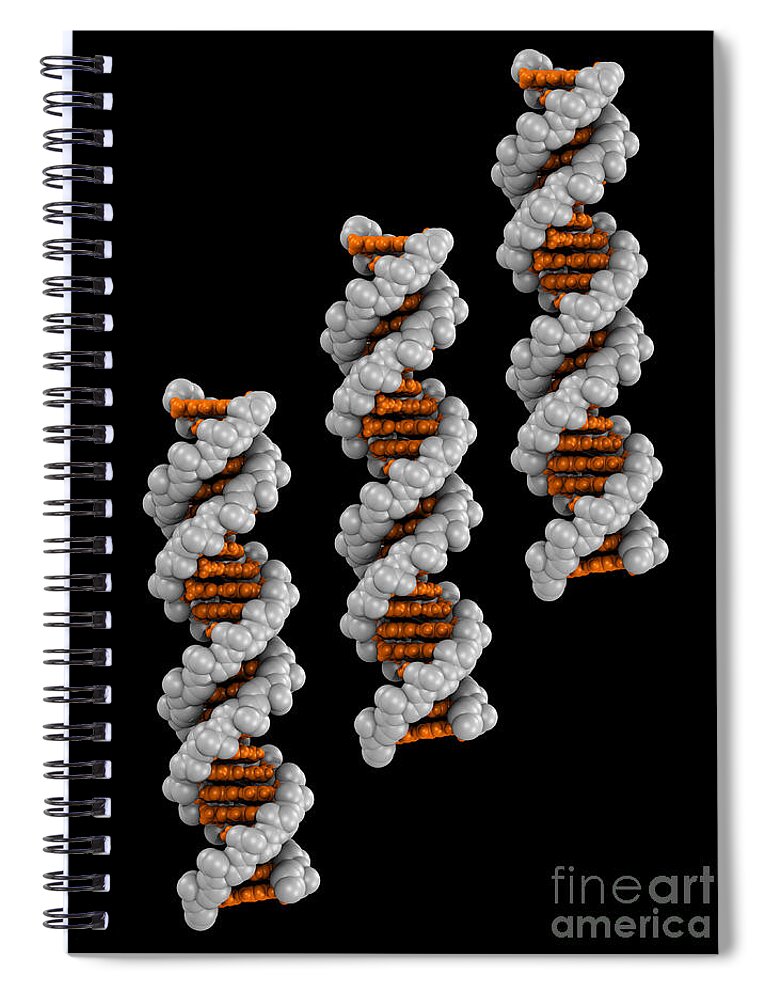 Adenine Spiral Notebook featuring the photograph 3d Dna Molecule #9 by Scott Camazine
