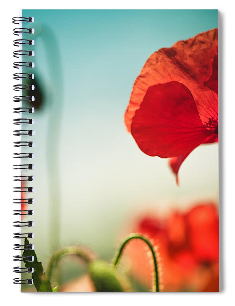 Poppy Spiral Notebook featuring the photograph Summer Poppy #9 by Nailia Schwarz