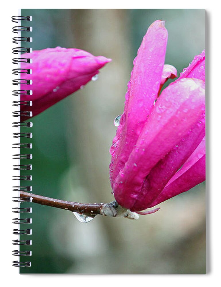 Flower Spiral Notebook featuring the photograph A Beautiful Rainy Morning by Suzanne Gaff