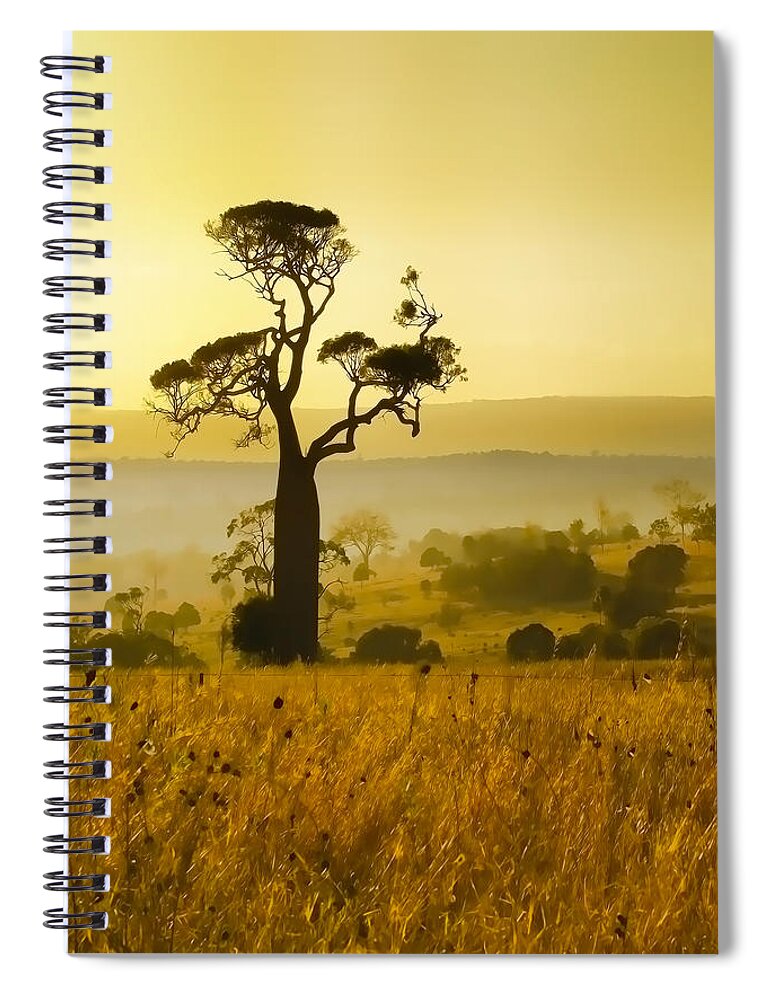Landscapes Spiral Notebook featuring the photograph A Boab Sunrise by Holly Kempe