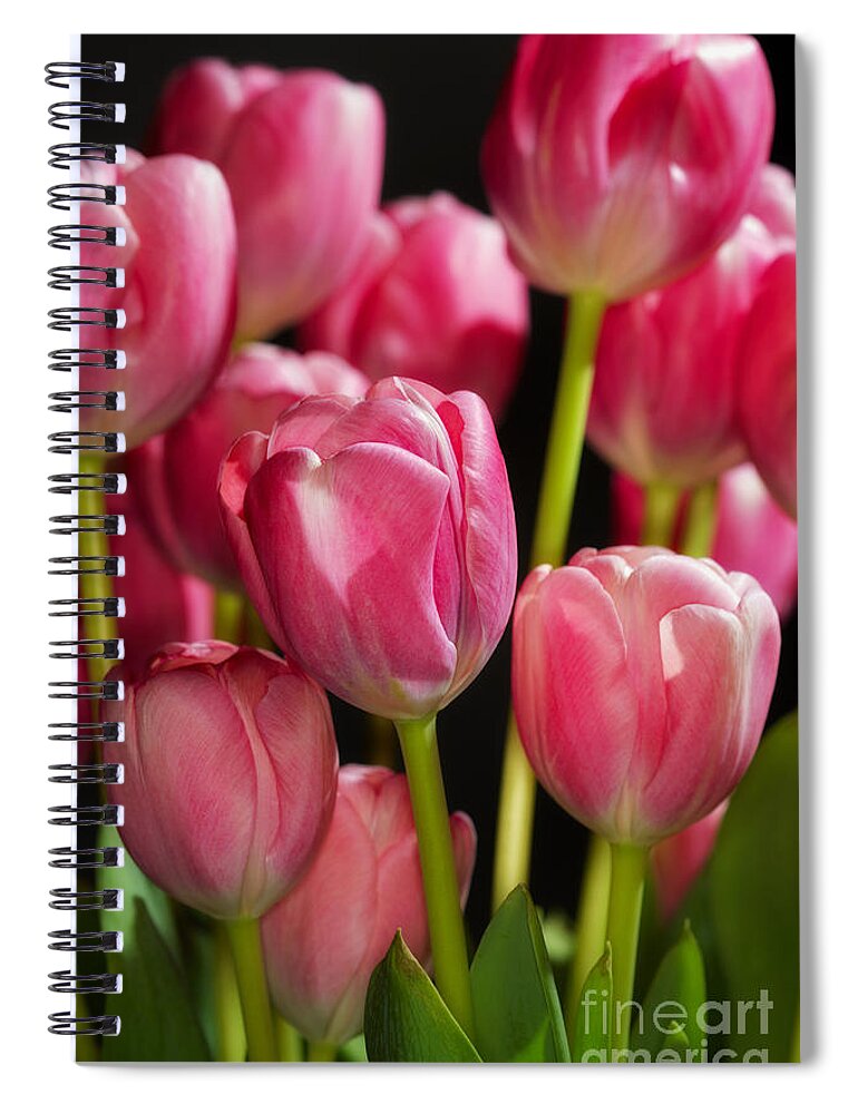 Close-up Spiral Notebook featuring the photograph A bouquet of pink tulips by Nick Biemans
