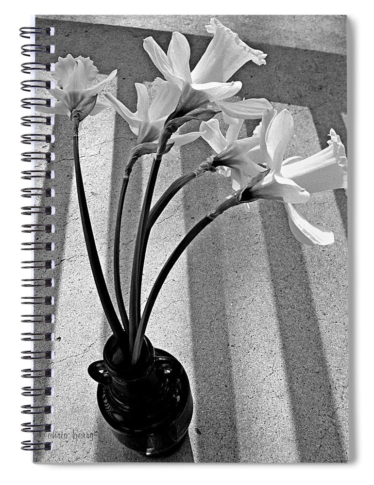 Narcissus Spiral Notebook featuring the photograph A Brief Moment by Chris Berry