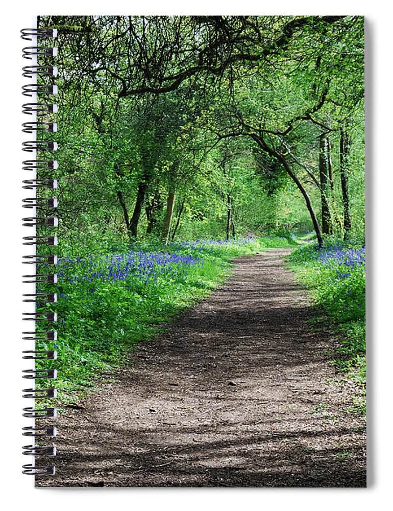 Woods Spiral Notebook featuring the photograph A Carpet Of Colour 2 by Wendy Wilton