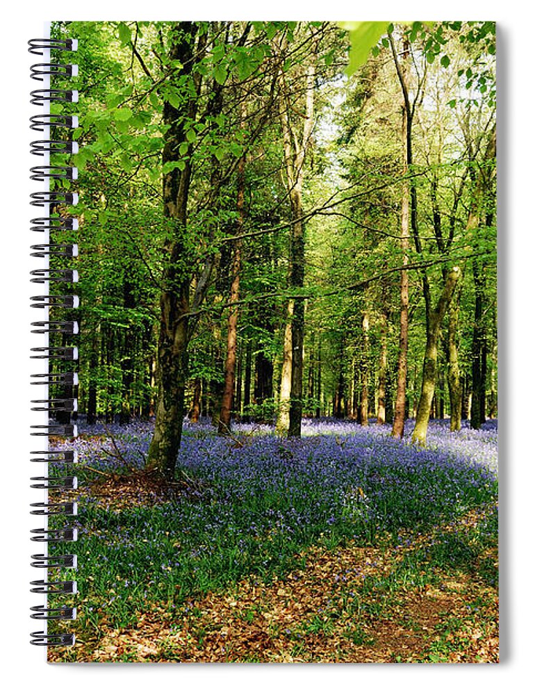 Woods Spiral Notebook featuring the photograph A Carpet Of Colour by Wendy Wilton