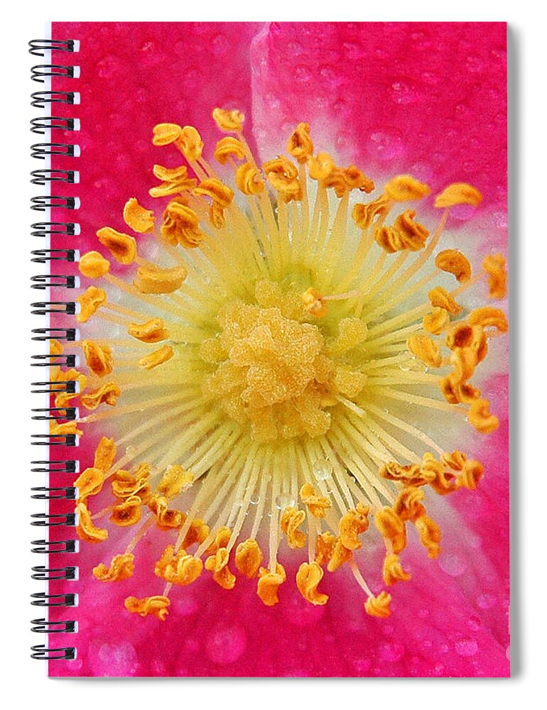 Pacificnorthwest Spiral Notebook featuring the photograph A Closer Look by Nick Boren
