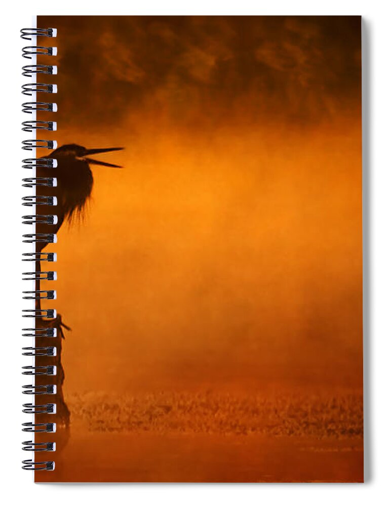 2007 Spiral Notebook featuring the photograph A Cry in the Mist by Robert Charity