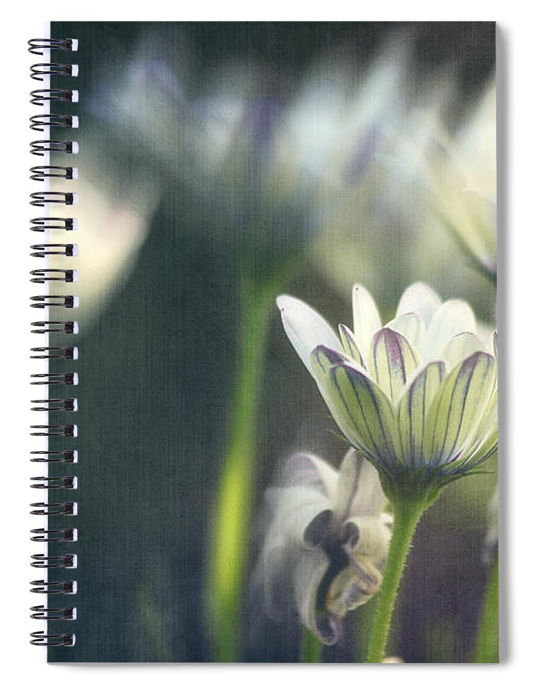 Photo Spiral Notebook featuring the photograph A Day in August by Jutta Maria Pusl
