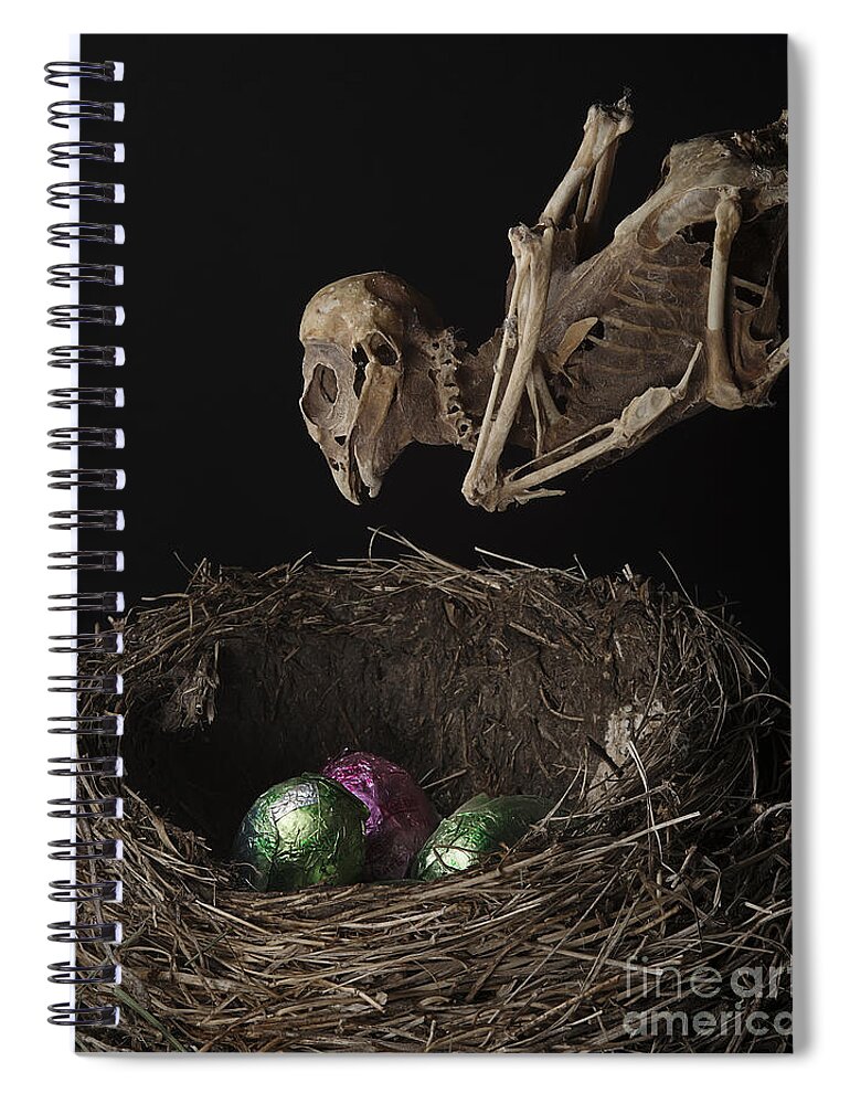 Easter Spiral Notebook featuring the photograph A Dead Bird Flies Into Its Nest Only To Find Chocolate Eggs by Art Whitton