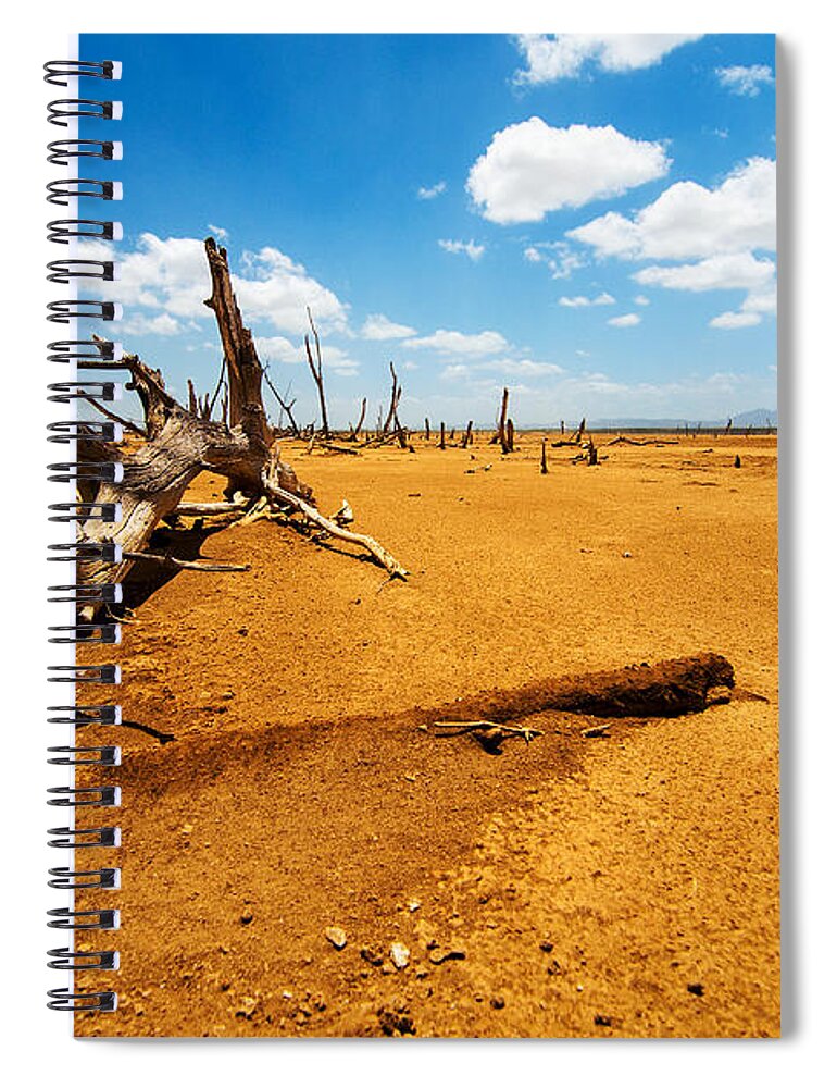 Desert Spiral Notebook featuring the photograph A Fallen Tree in a Desert by Jess Kraft