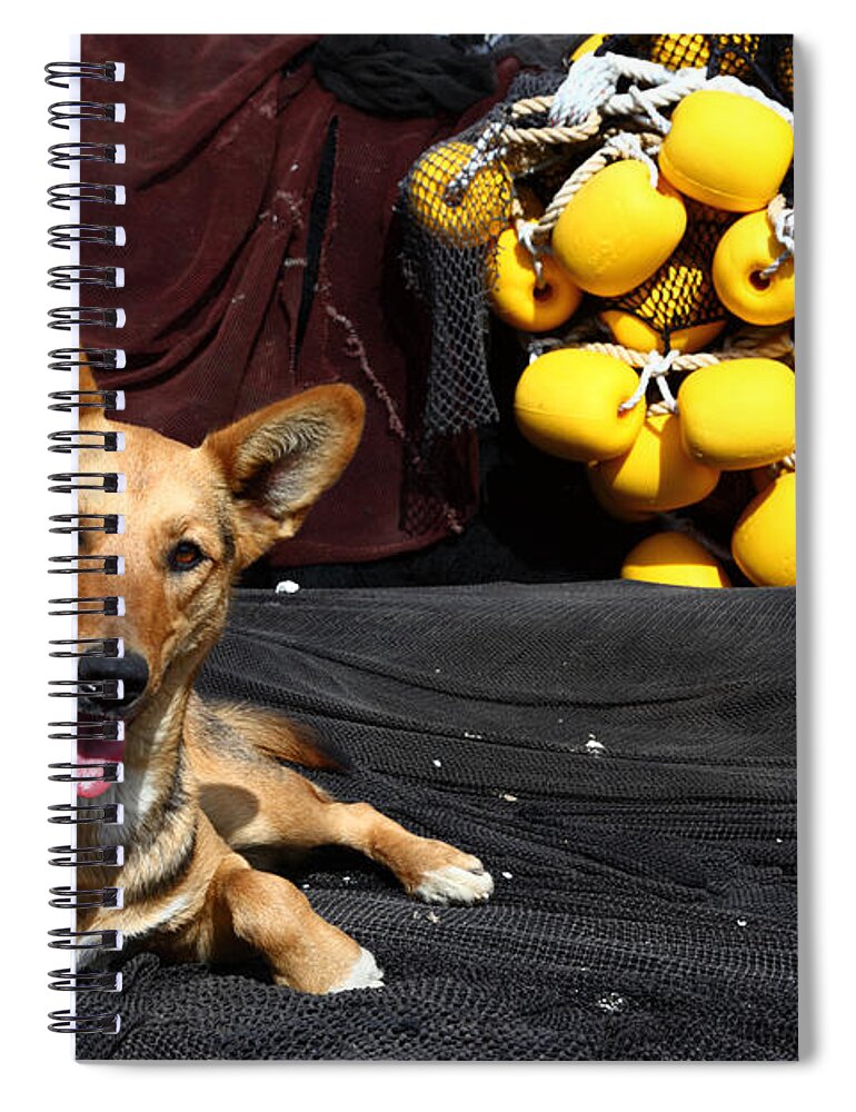 German Shepherd Dog Spiral Notebook featuring the photograph A Fishermans Best Friend by James Brunker
