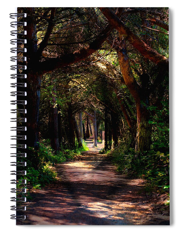 Forest Spiral Notebook featuring the photograph A Forest Path -Dungeness Spit - Sequim Washington by Marie Jamieson