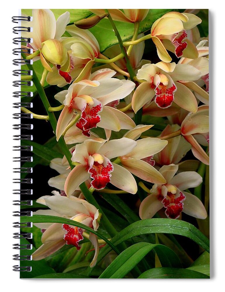 Orchids Spiral Notebook featuring the photograph A Gathering by Rodney Lee Williams