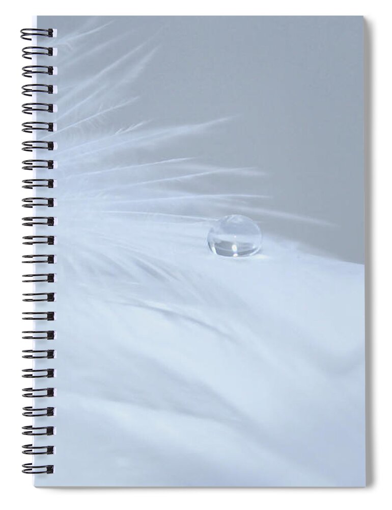 Feather Spiral Notebook featuring the photograph A Gentle Heaven by Krissy Katsimbras