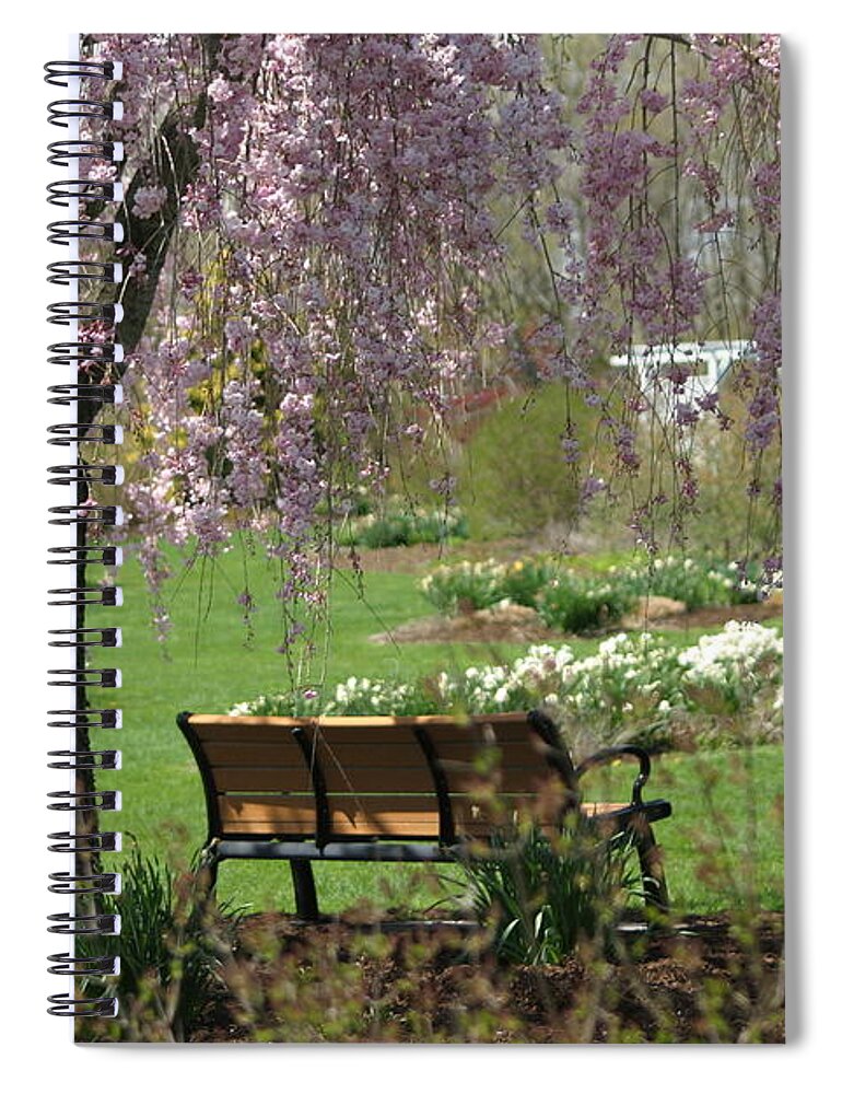 Landscape Spiral Notebook featuring the photograph A Good Place To Read A Book by Living Color Photography Lorraine Lynch