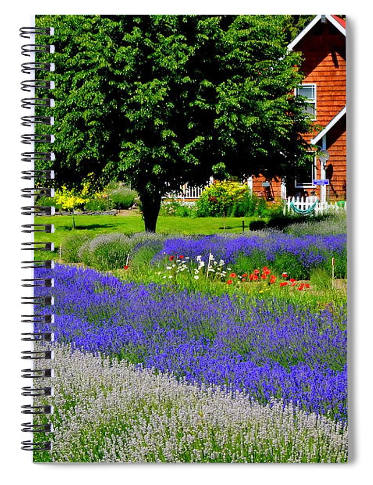 Lavender Fields Spiral Notebook featuring the photograph A Home Among the Lavender Fields by Mary Deal
