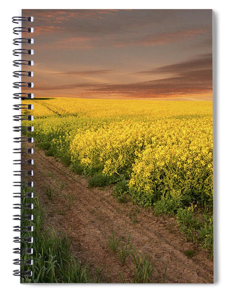 Tranquility Spiral Notebook featuring the photograph A Lovely Evening In The Sweet Month Of by Nick Brundle Photography