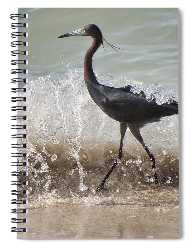 Jamaica Spiral Notebook featuring the photograph A Morning Stroll Interrupted by Gary Slawsky