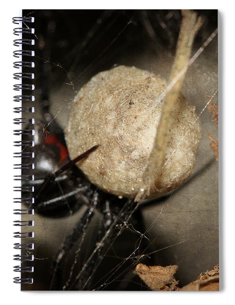 Black Widow Spiral Notebook featuring the photograph A Mothers Den by Melanie Lankford Photography