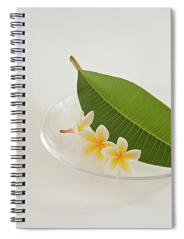 White Background Spiral Notebook featuring the photograph A Plate Of Plumeria Flowers And Leaf by Margarita Komine