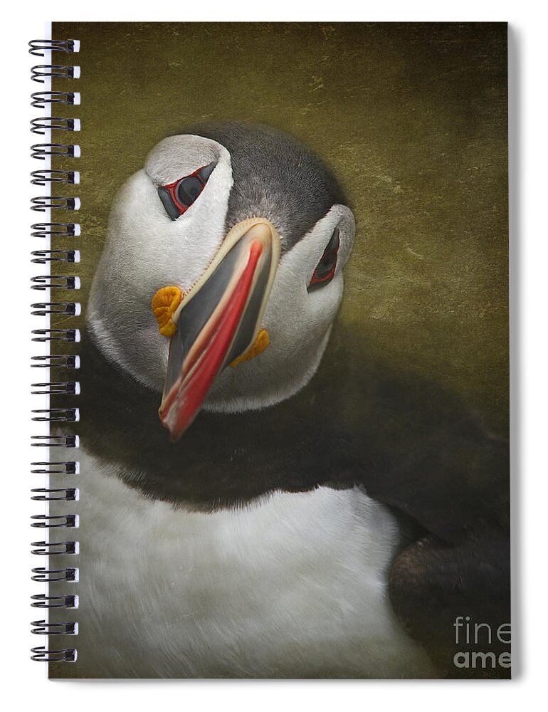 Festblues Spiral Notebook featuring the photograph A Portrait of the Clown of the Sea by Nina Stavlund