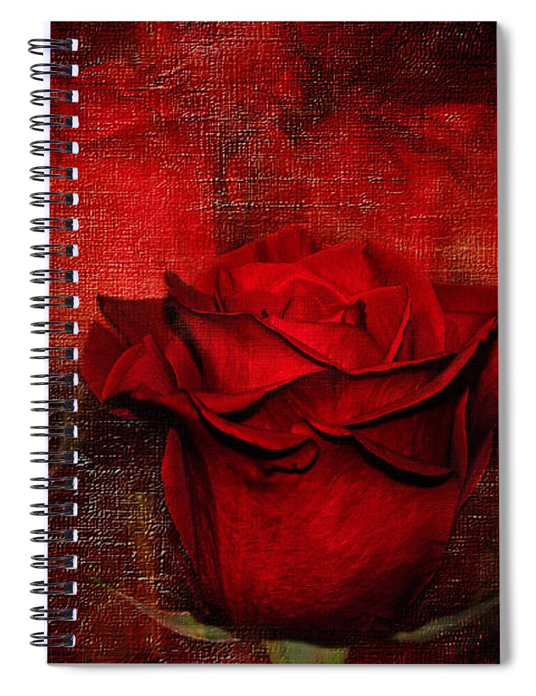 Photography Spiral Notebook featuring the photograph A Rose for You by Kaye Menner