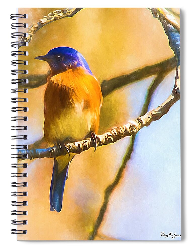 A Single Bluebird Spiral Notebook featuring the photograph Bird - Limb - A Single Bluebird by Barry Jones