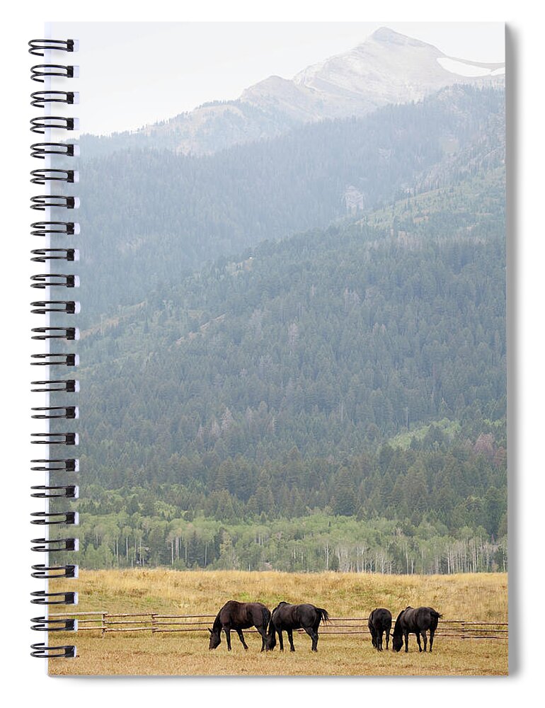 Horse Spiral Notebook featuring the photograph A Small Herd Of Horses, Grazing On The by Mint Images - Britt Chudleigh