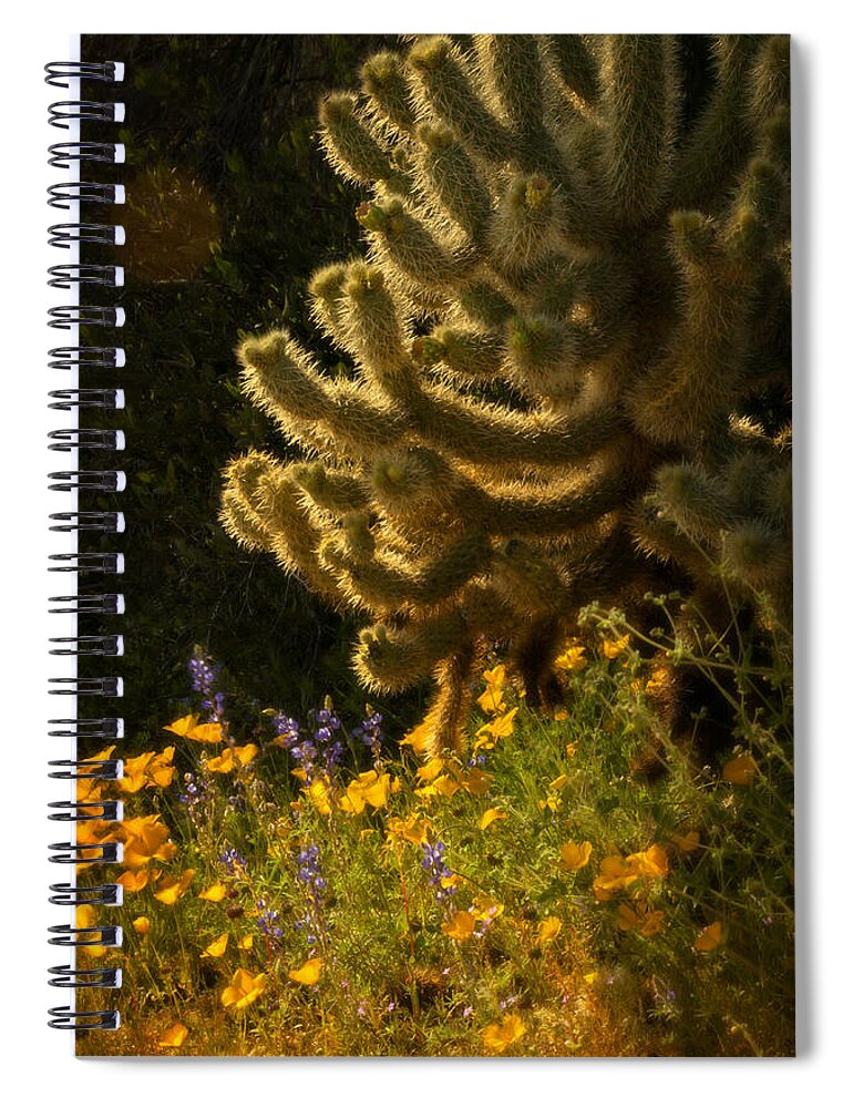 Spring Spiral Notebook featuring the photograph A Southwestern Spring by Saija Lehtonen