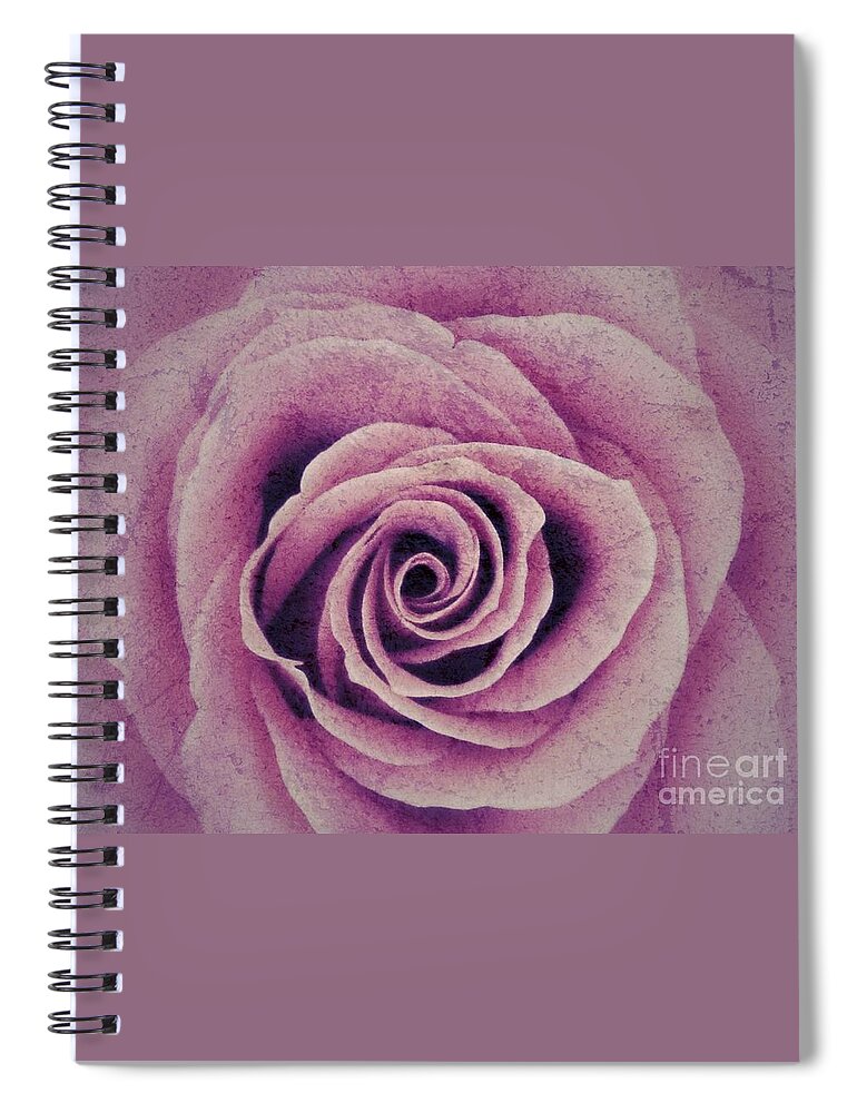 Pink Rose Spiral Notebook featuring the photograph A Sugared Rose by Joan-Violet Stretch