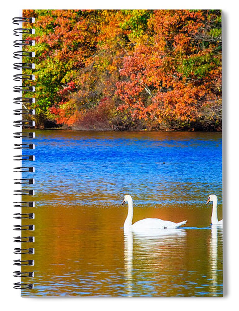 Swans Spiral Notebook featuring the photograph A Swim for Two by Bryan Bzdula