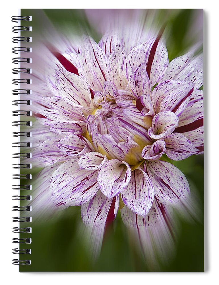 Flowers Spiral Notebook featuring the photograph A Taste of Wine by Penny Lisowski