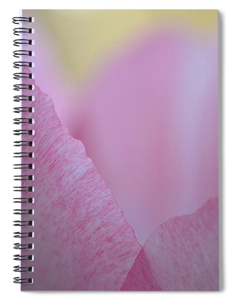 Flower Spiral Notebook featuring the photograph A Tender Heart by Melanie Moraga