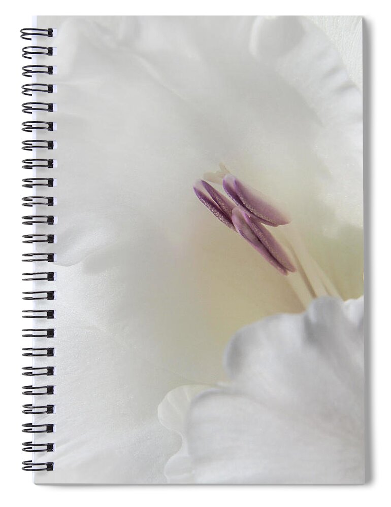 Bloom Spiral Notebook featuring the photograph A Touch of Pink by David and Carol Kelly