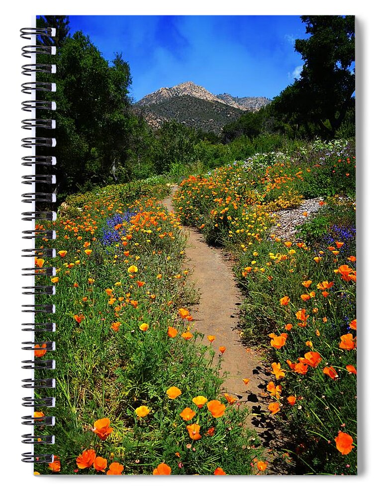 Santa Barbara Spiral Notebook featuring the photograph A Walk in the Garden by Lynn Bauer