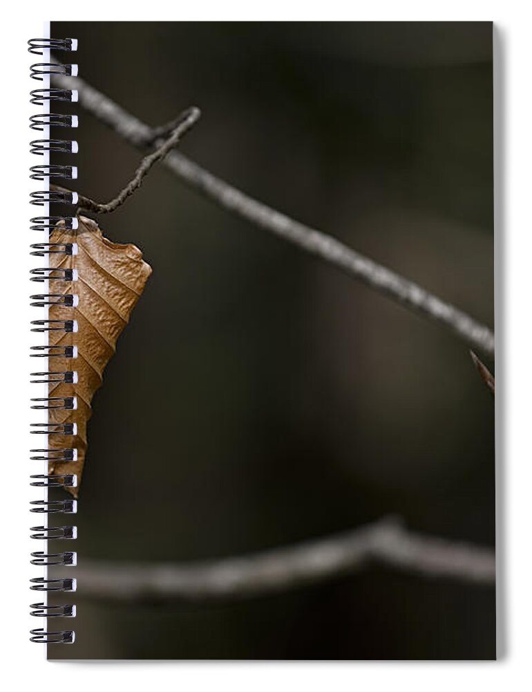 Leaf Spiral Notebook featuring the photograph About to drop. by Nigel R Bell