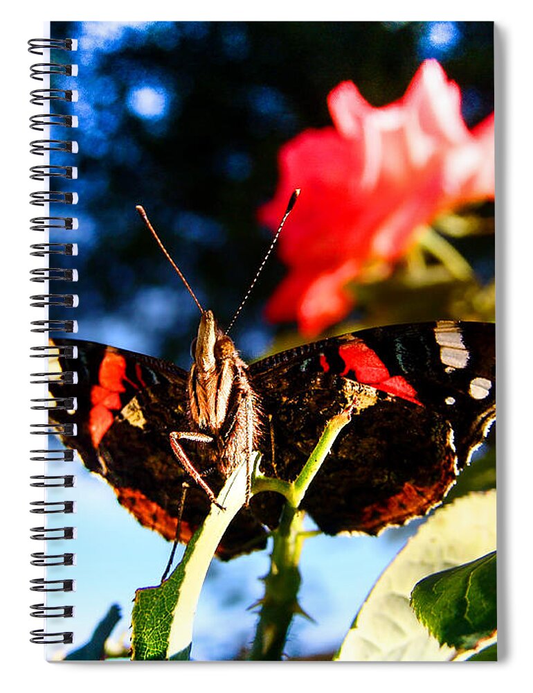 Butterfly Spiral Notebook featuring the photograph About to leave... by Alessandro Della Pietra