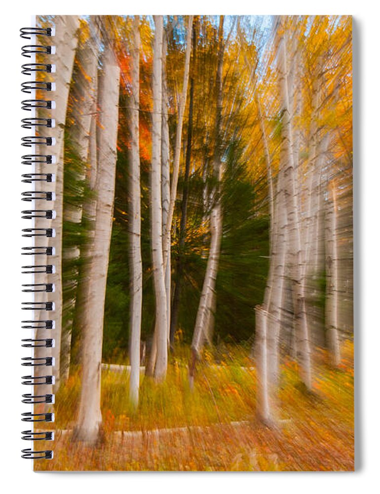 New England Spiral Notebook featuring the photograph Abstract Autumn Birches by Brenda Jacobs