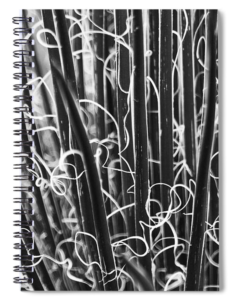 Abstract Spiral Notebook featuring the photograph Abstract in Black and White by Crystal Nederman
